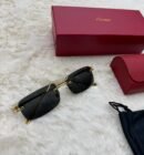 Cartier Zonnebril Blauwe Glazen Panter Goude Montuur